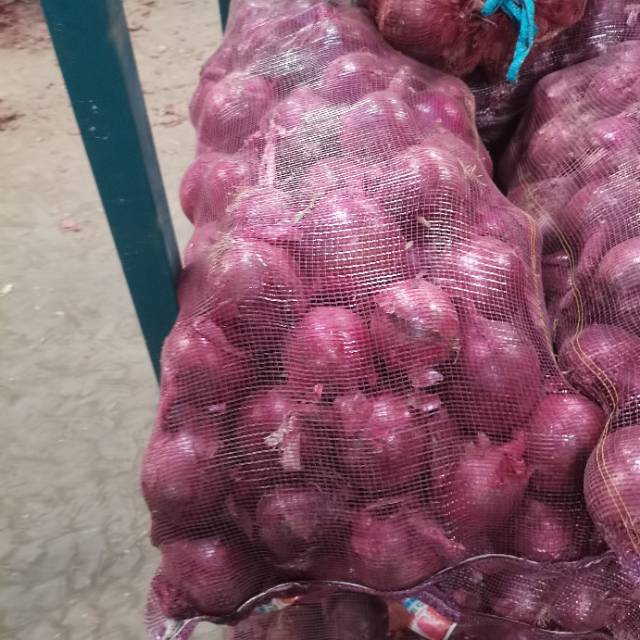 甘肃红皮洋葱
20242024601