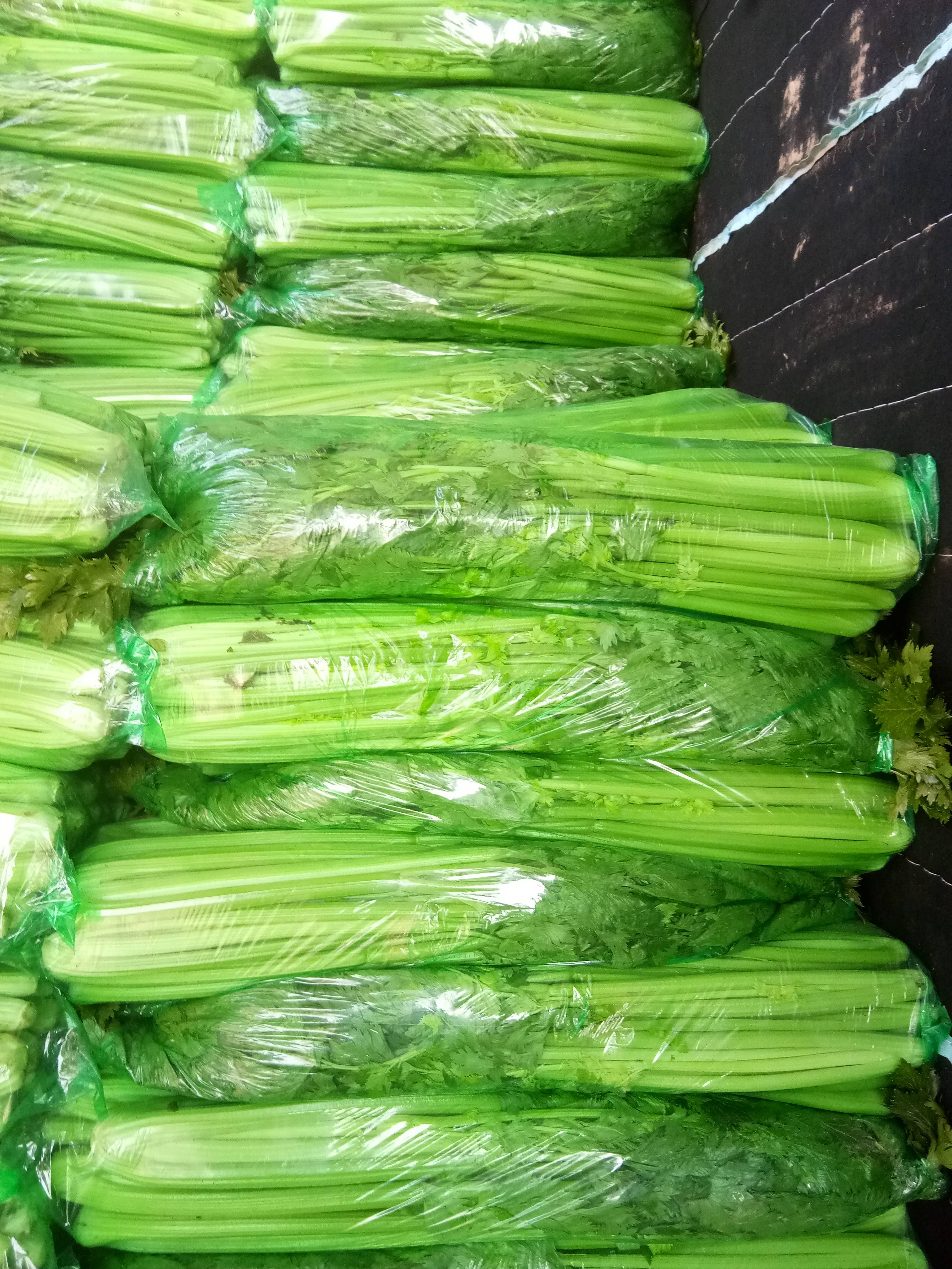 芹菜大量上市，色泽好，无叶斑价格面议