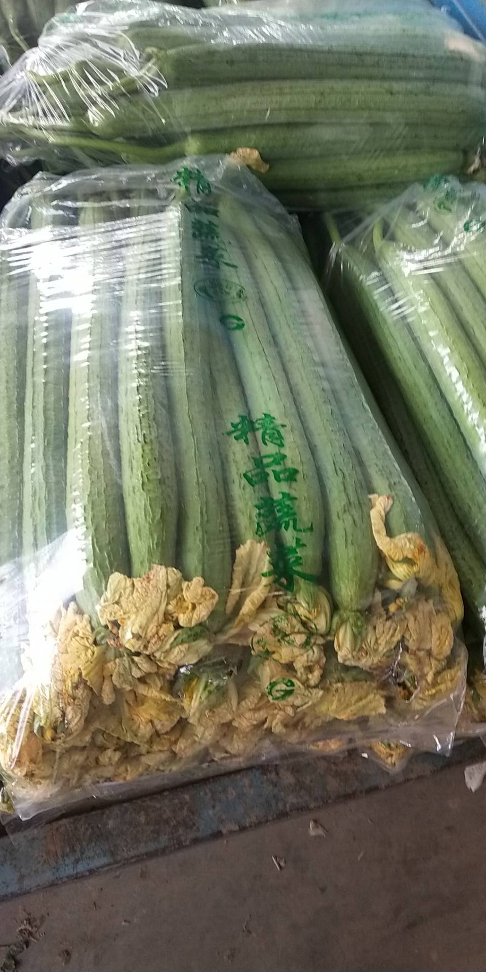 丝瓜大量上市，张立强欢迎新老客户20242024502，