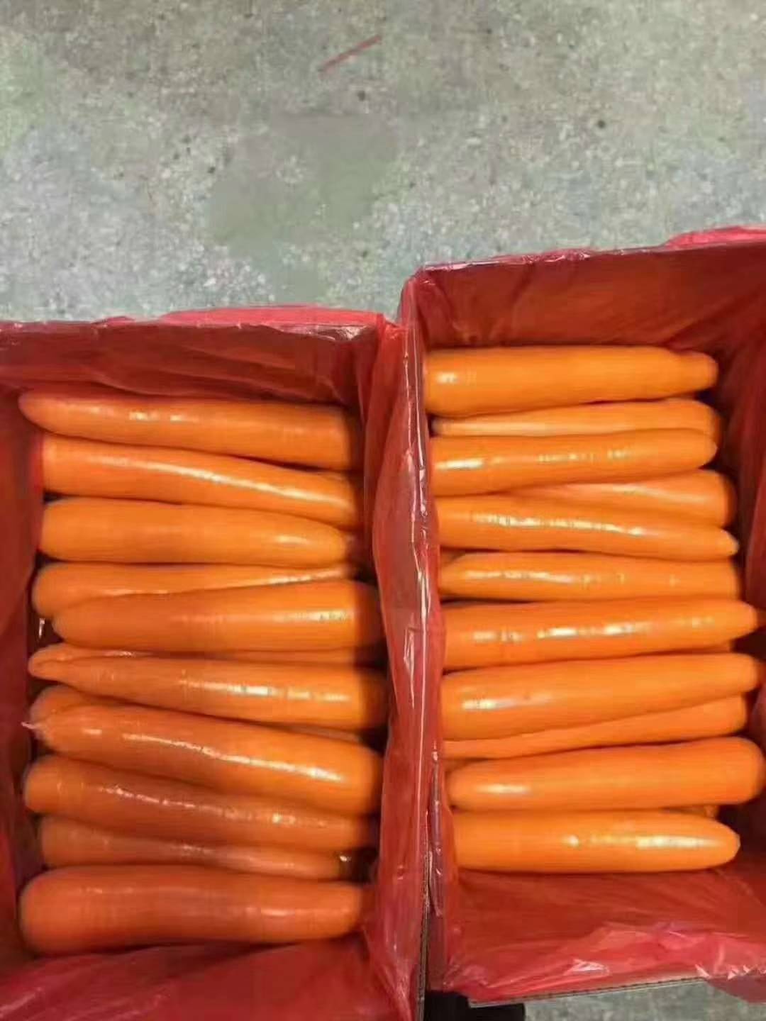 大量供应水洗的提供代装，箱装各种大小包装。