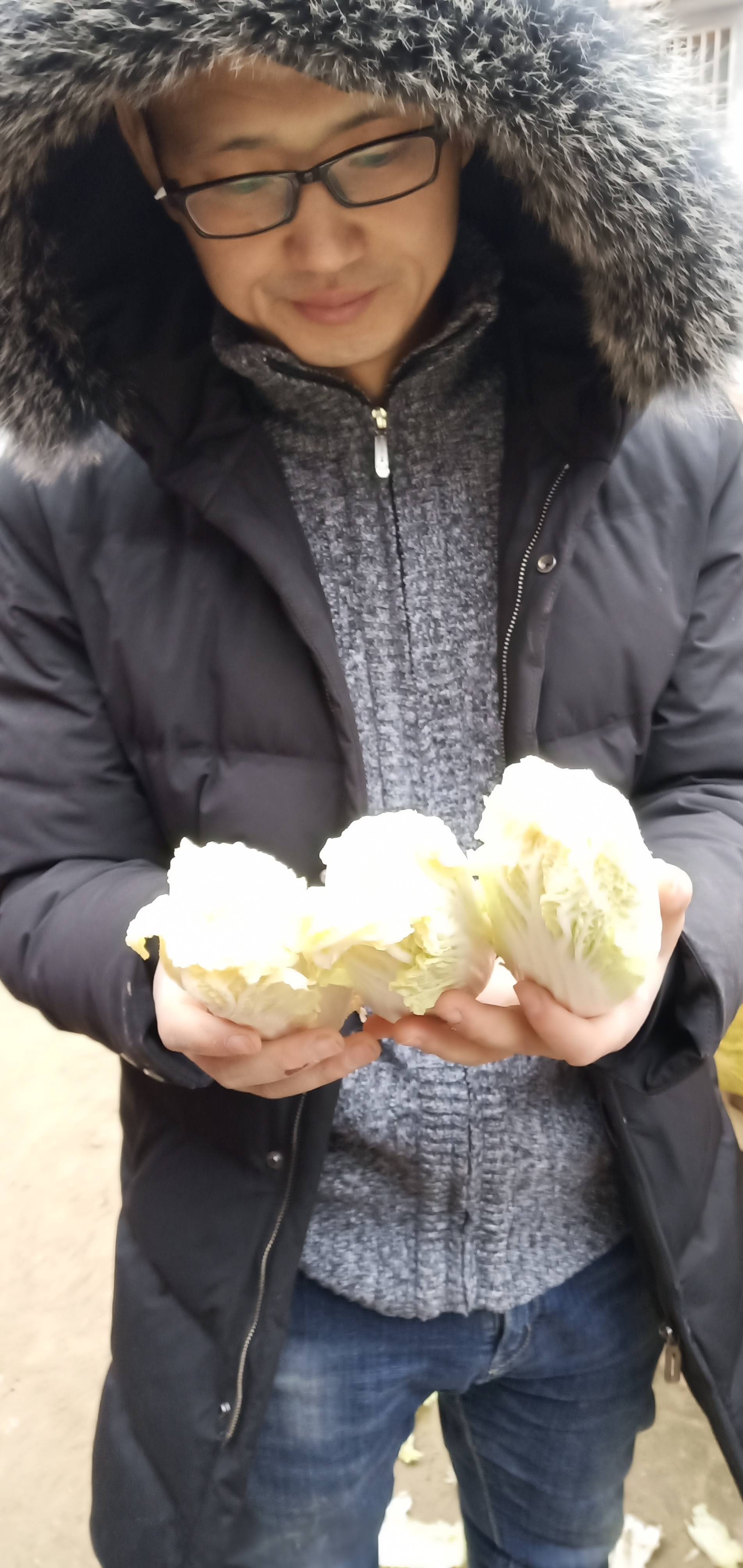 优质小娃娃菜每天2024件，有要的联系202420247