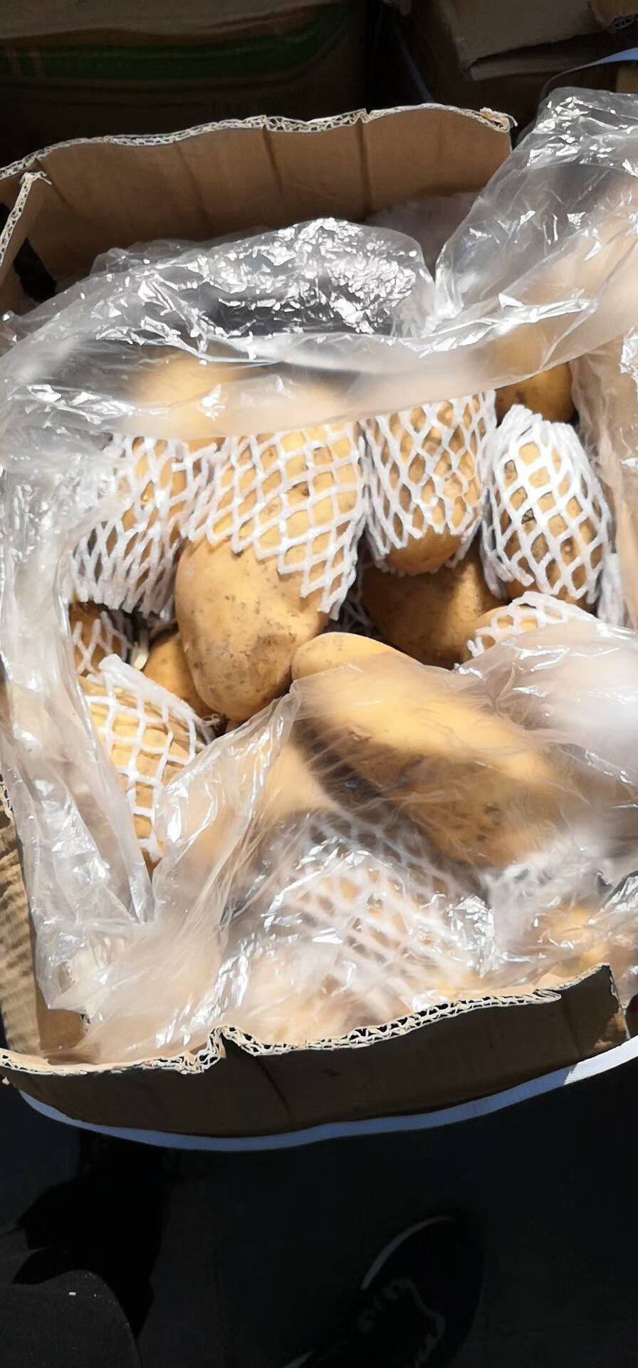 冷库荷兰十五土豆大量供应，4两以上箱装，2-4两袋装，颜