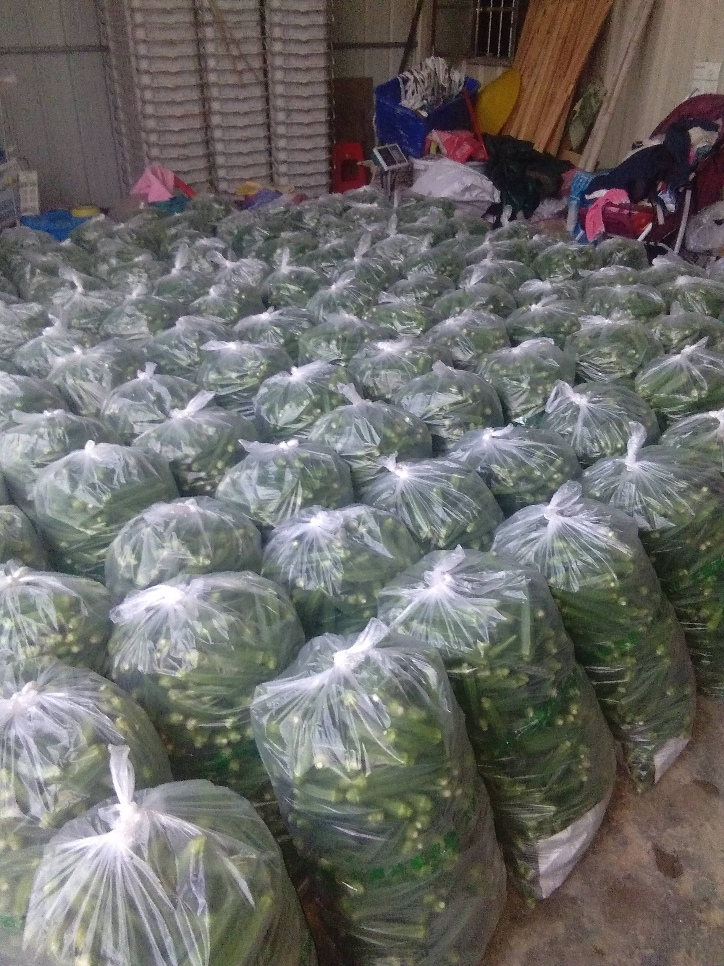秋葵质量客户说了算，谢谢大家合作