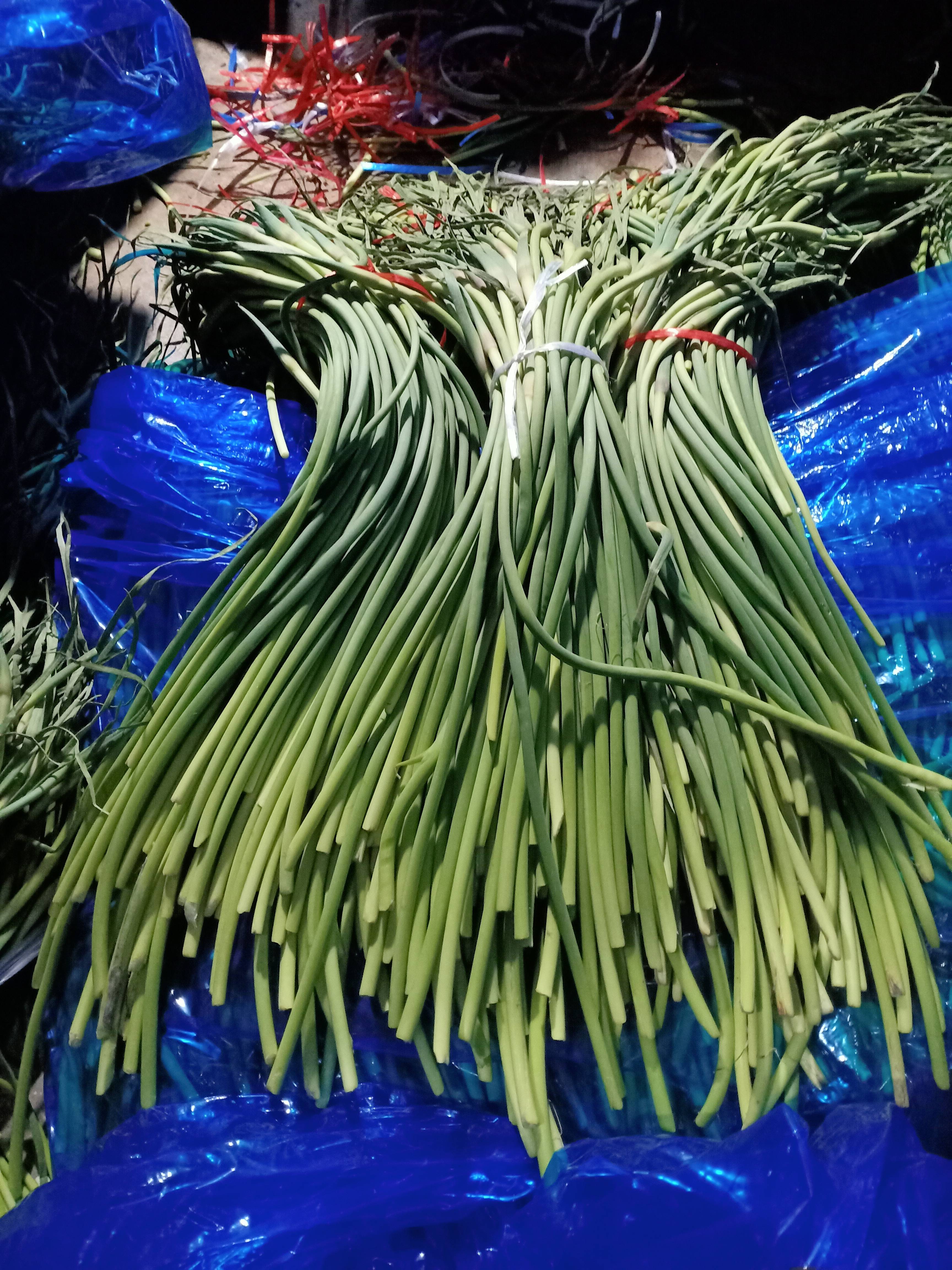 山东冷库蒜薹大量开库销售有红帽白帽货源充足看货定价做到一