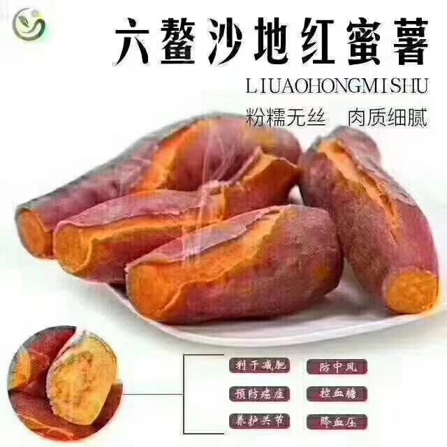 福建六鳌地瓜(红薯)，价格便宜，口感好，电话202405