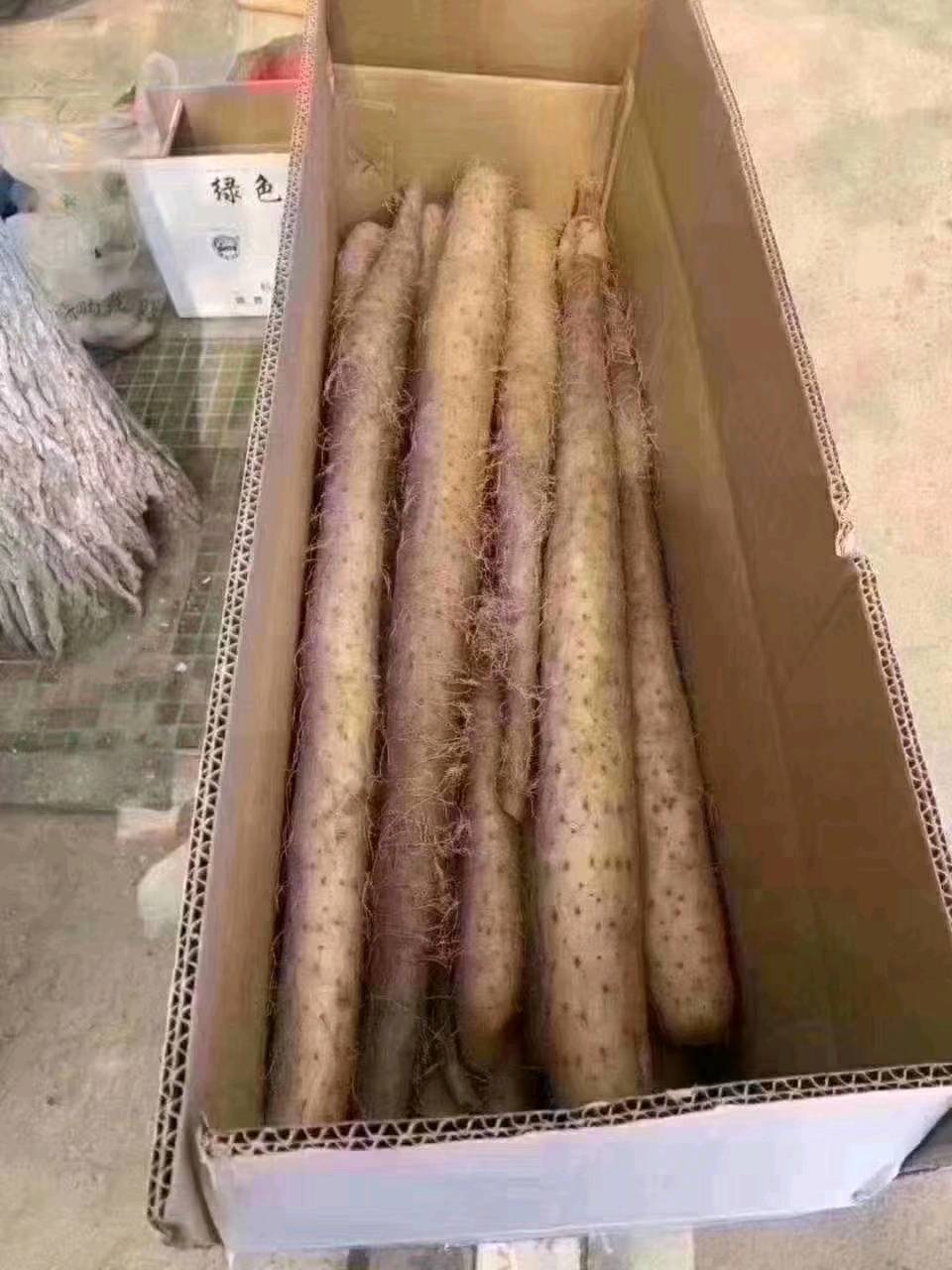 陕北纯沙地曹宇良白玉山药，大量出售及批发，口感粉糯，味道