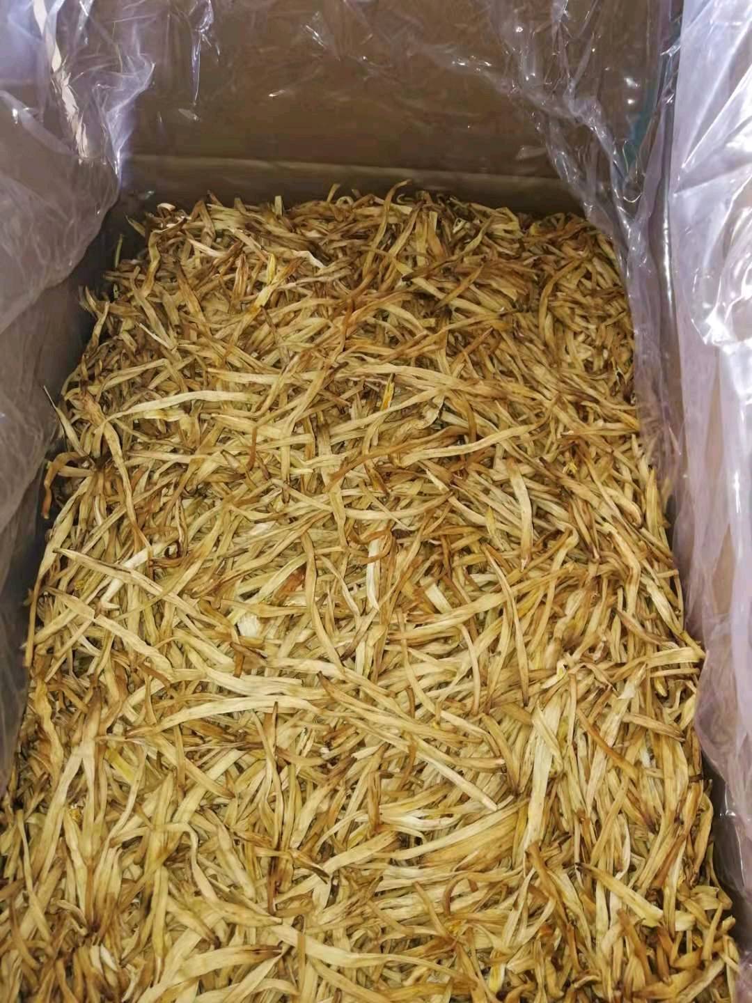 营养，优质盐池黄花菜