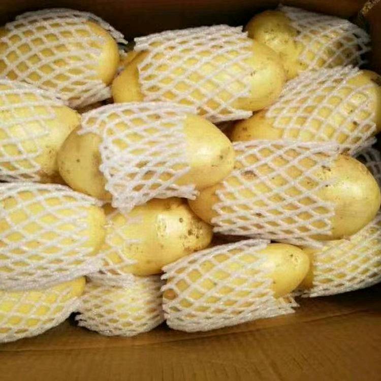 荷兰十五土豆*黄皮黄心*品质保证*代发发全国各地商超市场