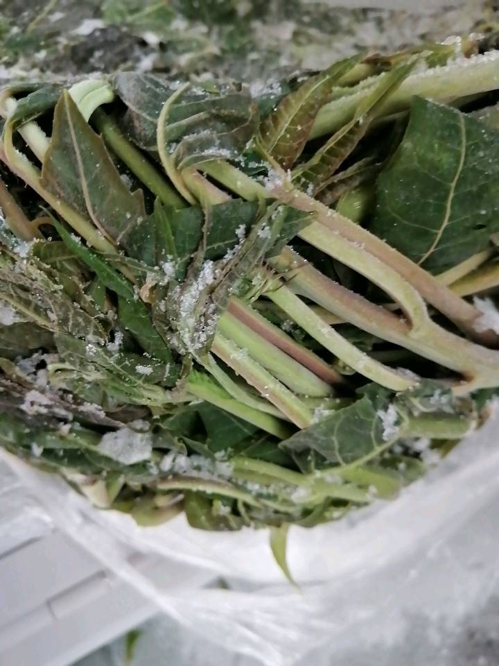 香椿芽，长在树上的野菜！