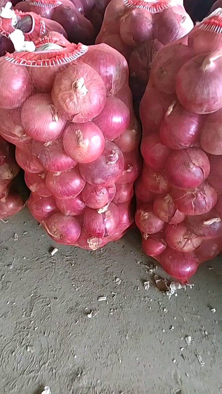二红葱质量好，欢迎需要的客户前来选购