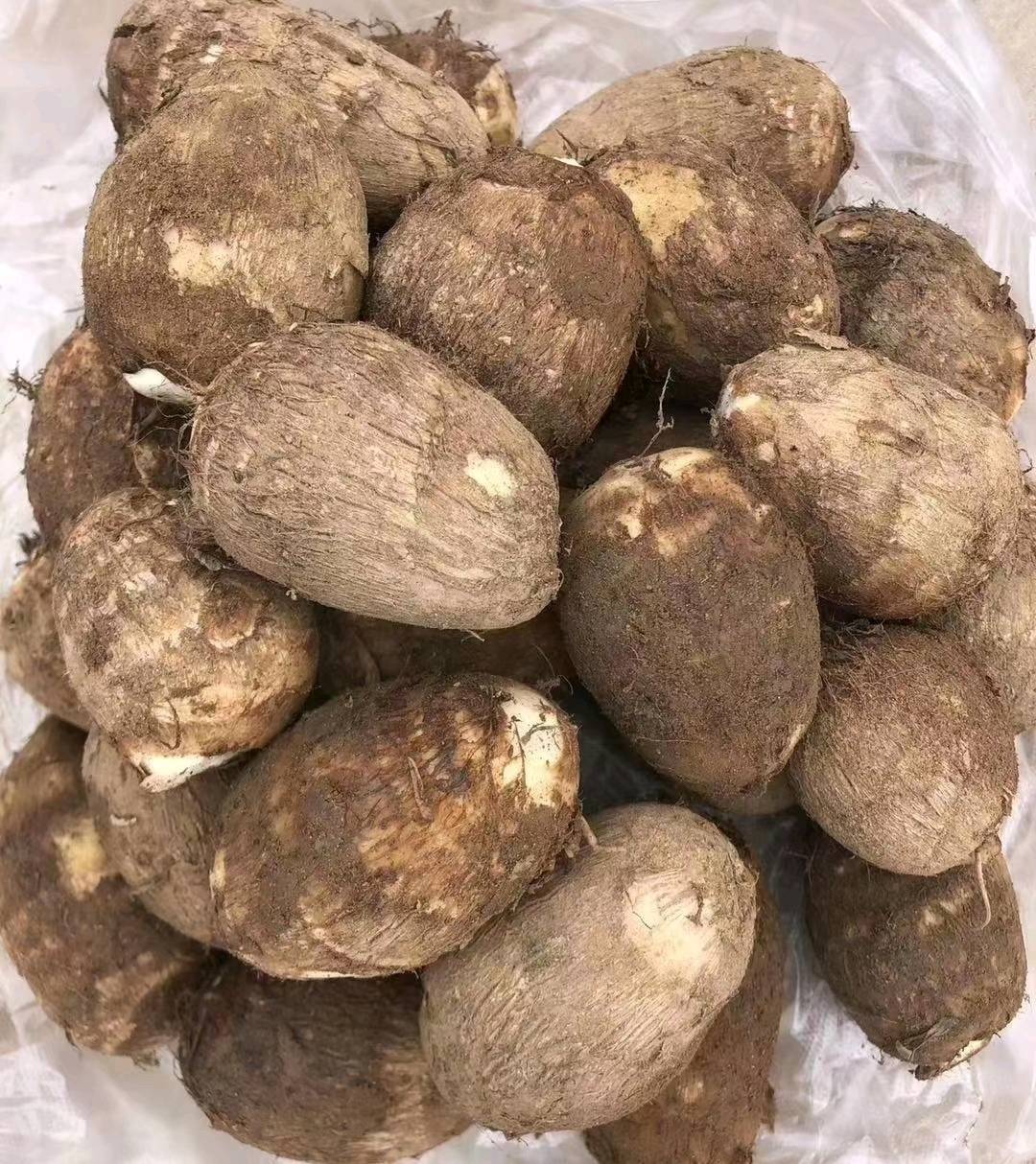 毛芋头批发基地联系电话20252025441山东优质毛芋