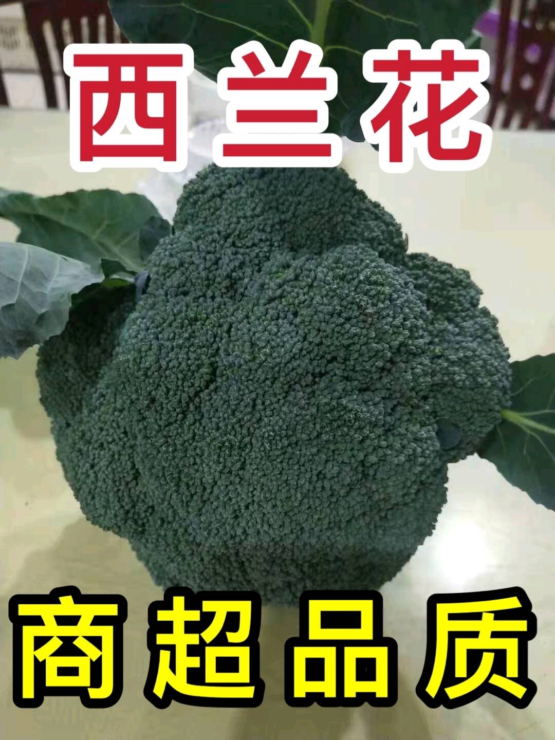 山东，耐寒优秀西兰花大量上市了联系电话，20252025