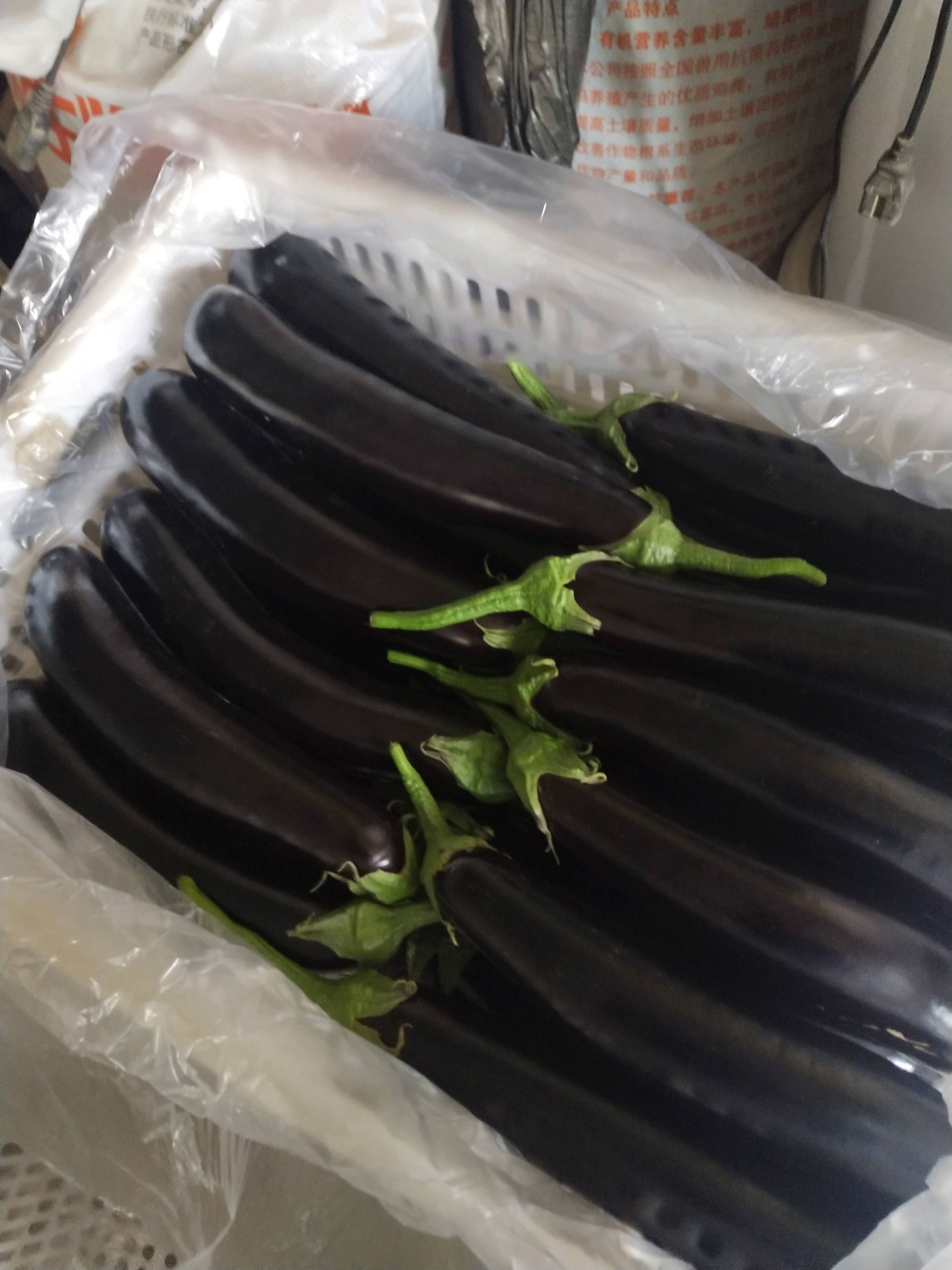 自家大棚种植有收购的可以联系