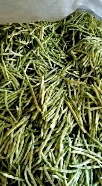 山东大棚芸豆大量上市中，货源充足，价格美丽，质量保证，需