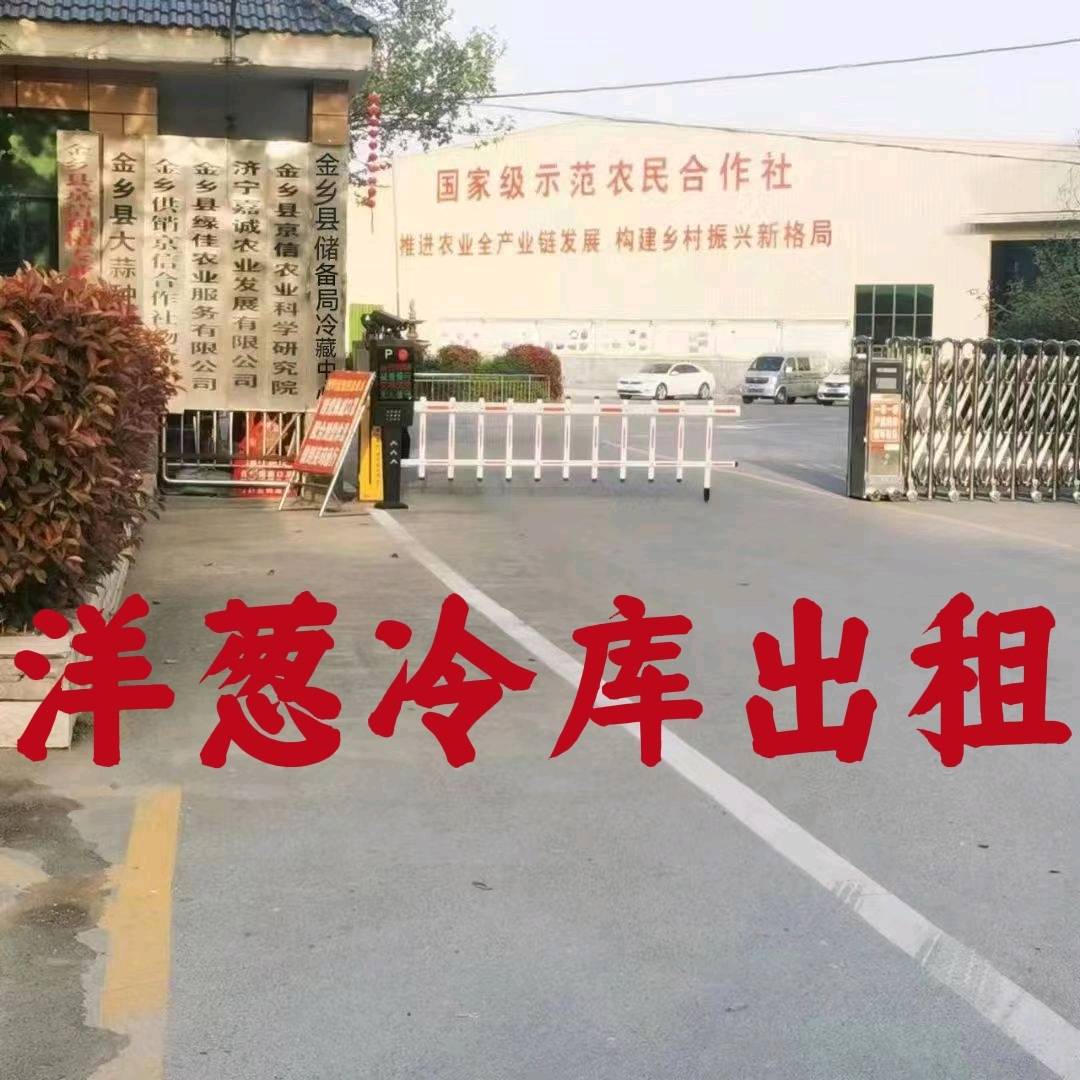 储洋葱 大蒜通知…金乡县红皮洋葱5月25号大量上市，6月