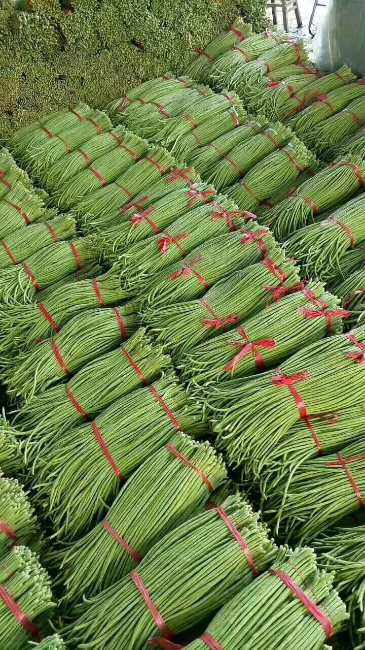 河北邯郸长豆角大量求购中，还有各种蔬菜大量求购，有需要的