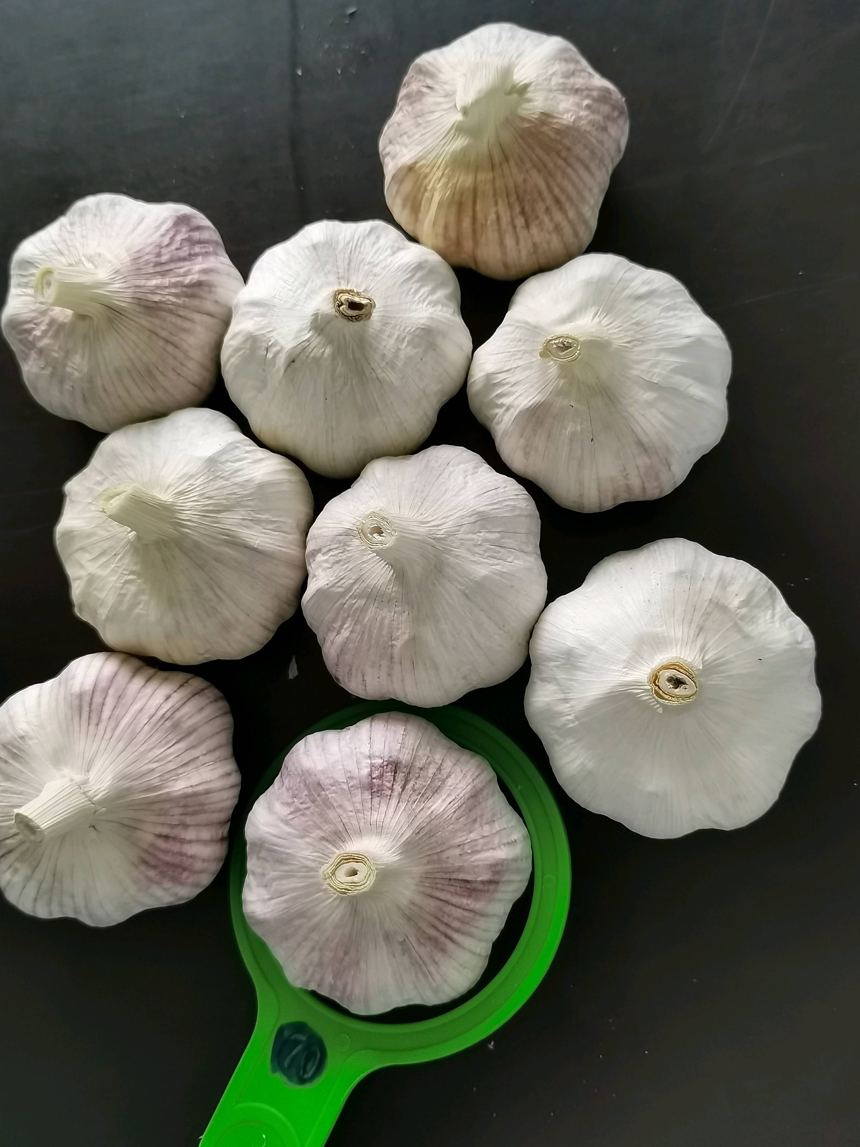中牟县优质紫皮大蒜头加工中心，产地直销发往全国，我是产地