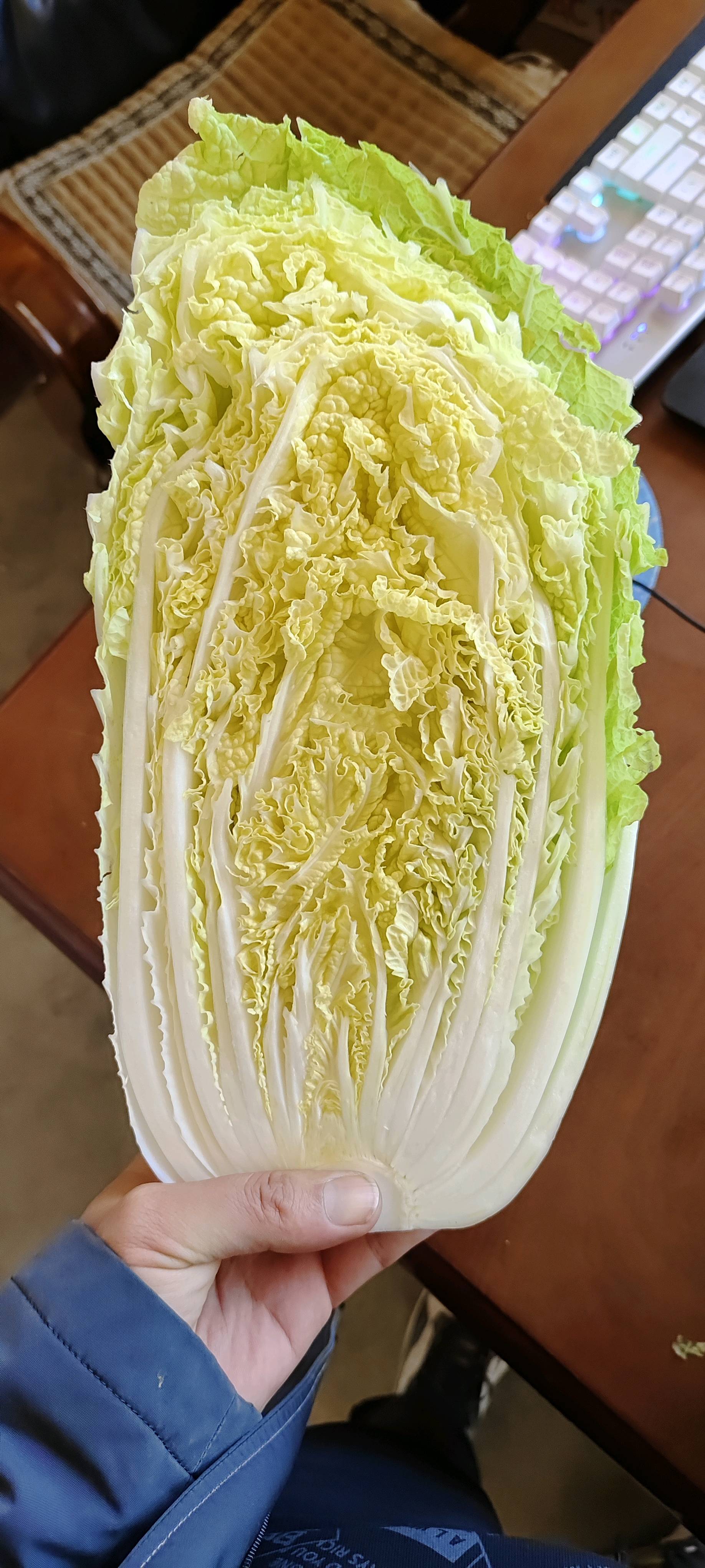 黄心白菜大量上市求购中，20252025999山东黄心菜