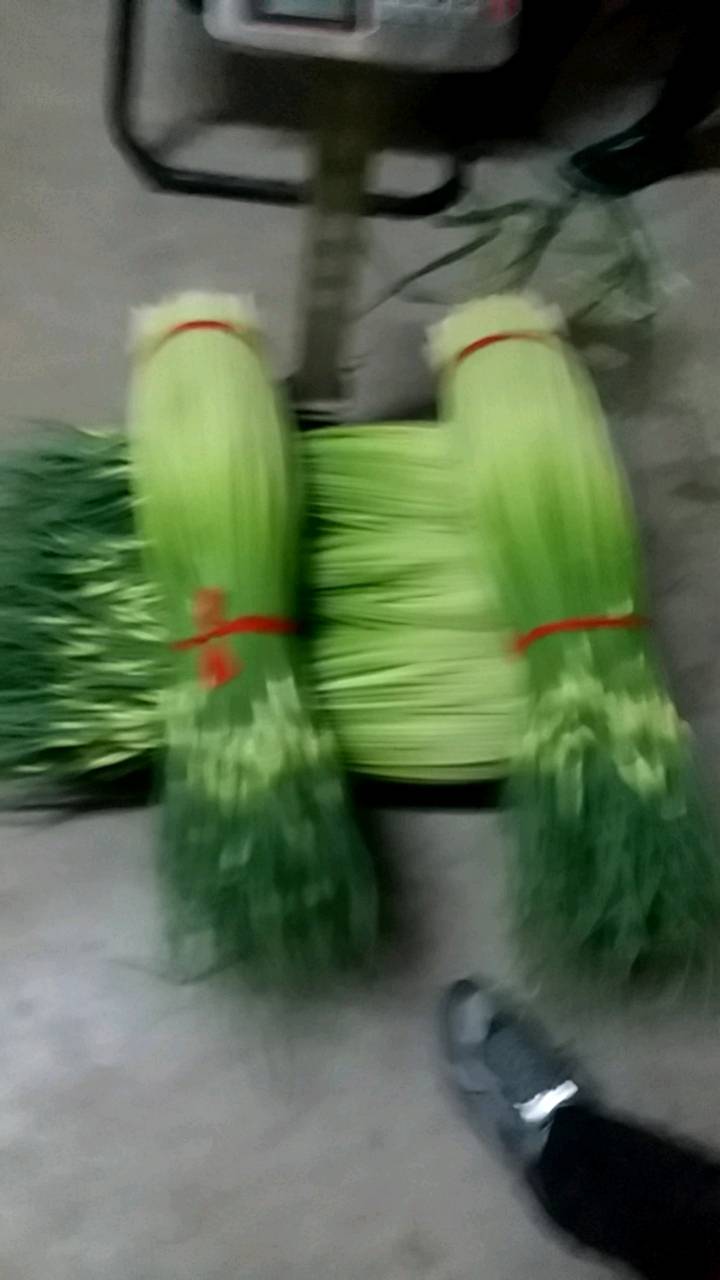 丰县白帽蒜薹大量上市，有想法的联系电话202520258