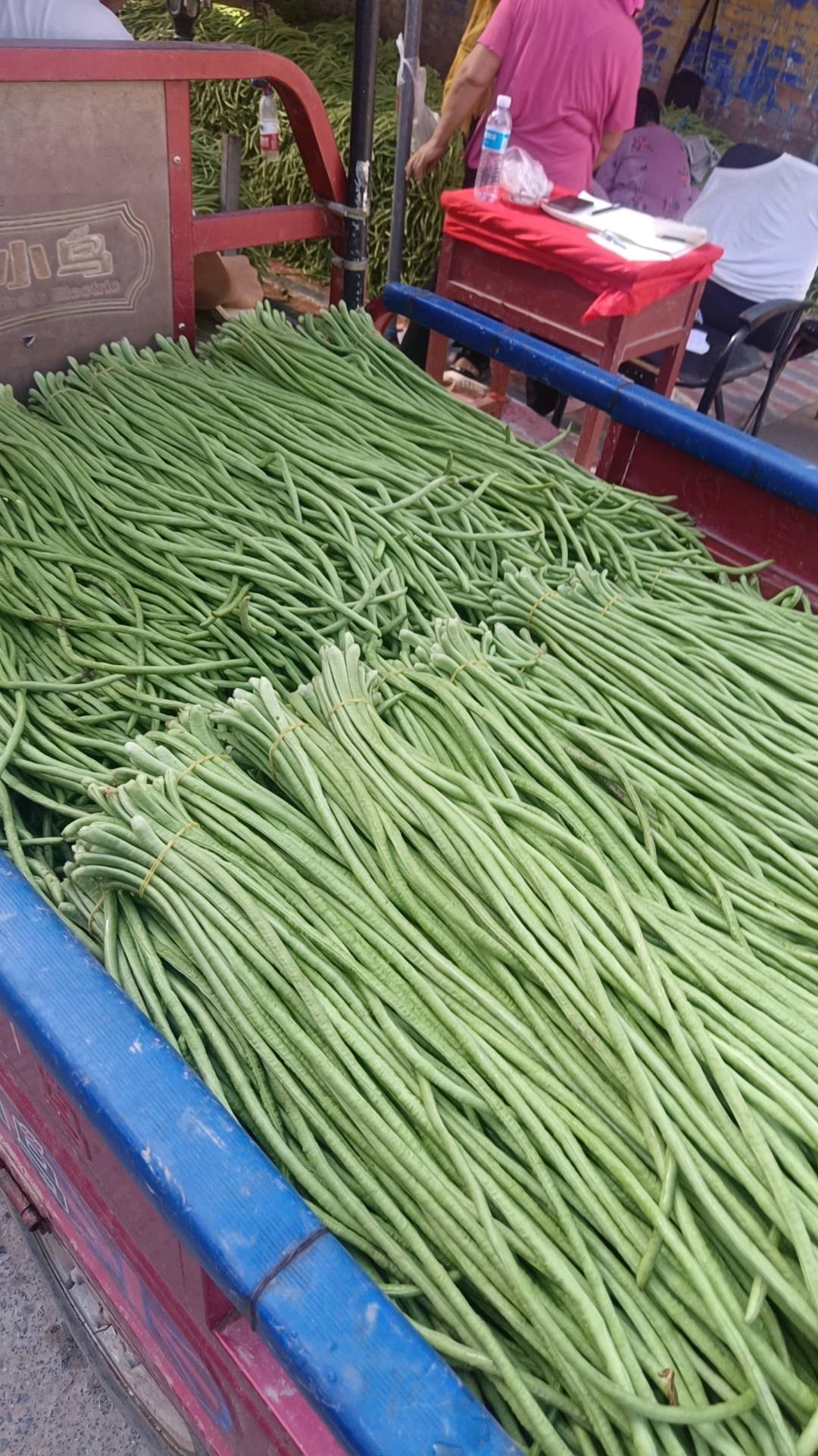 优质精品长豆角，大量有货，保证质量。