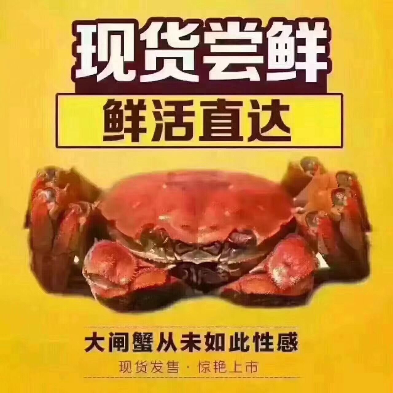 求购兴化红膏大闸蟹