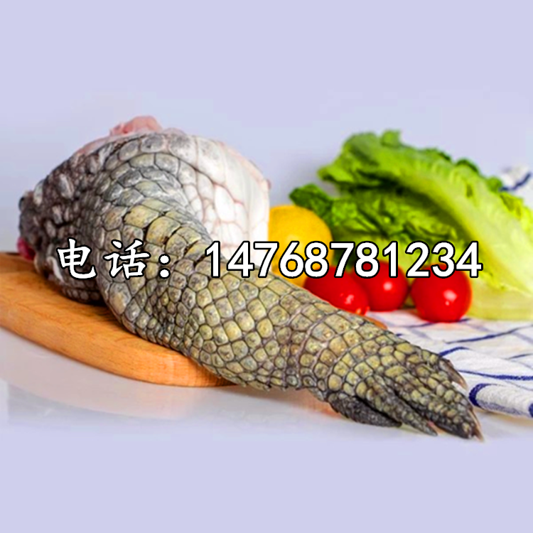 供应鳄鱼腿掌肉