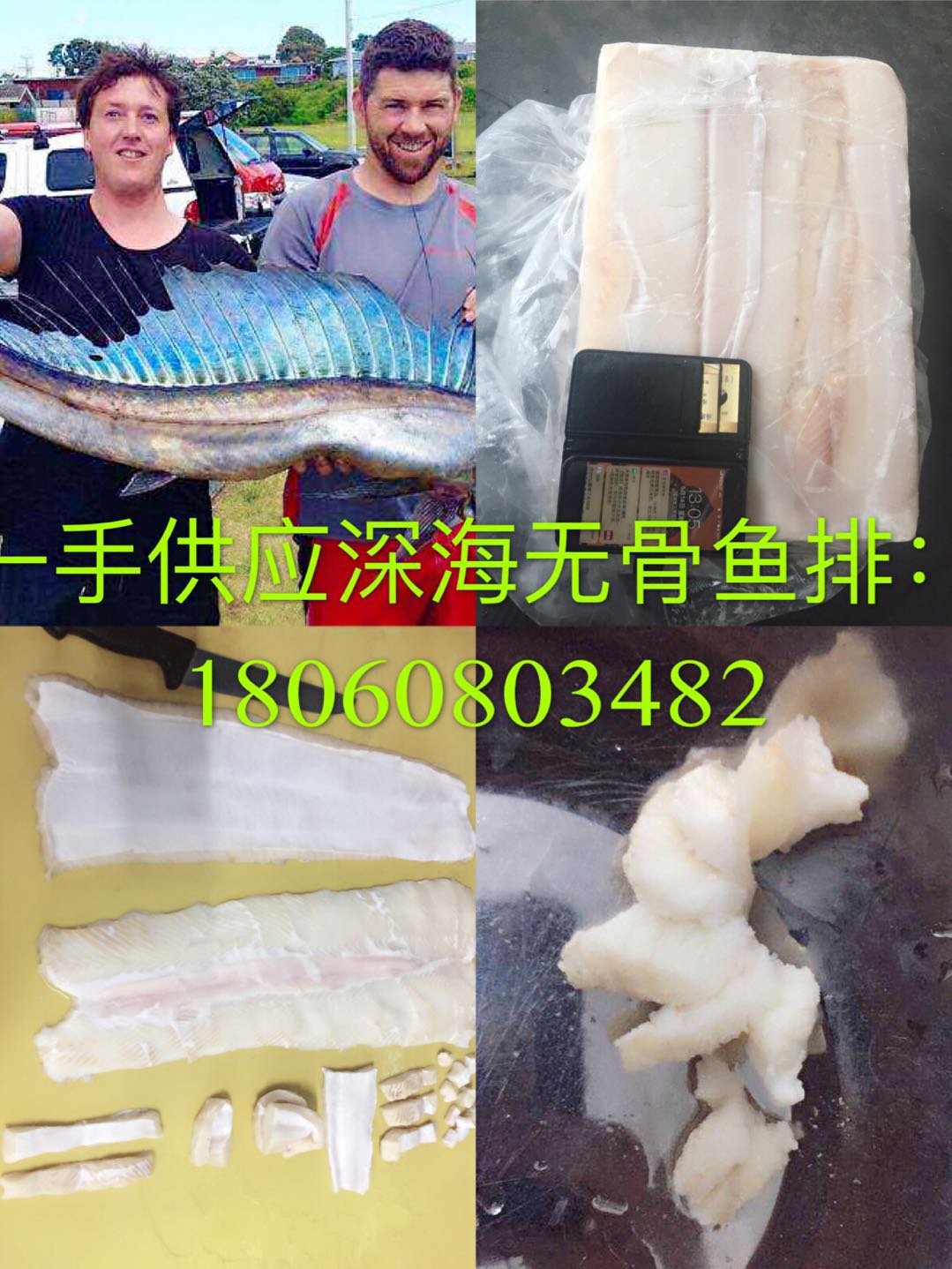 供应鲨鱼皮