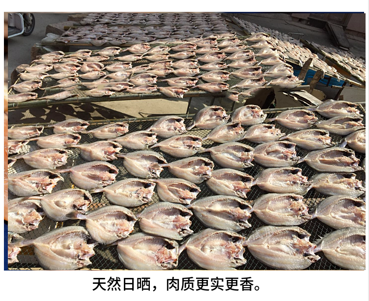 求购霞浦黄鱼干