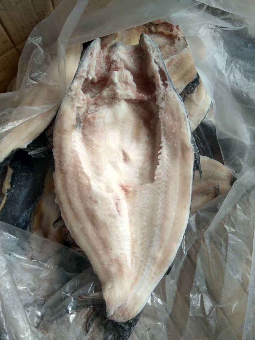 求购恒兴恒巴沙鱼