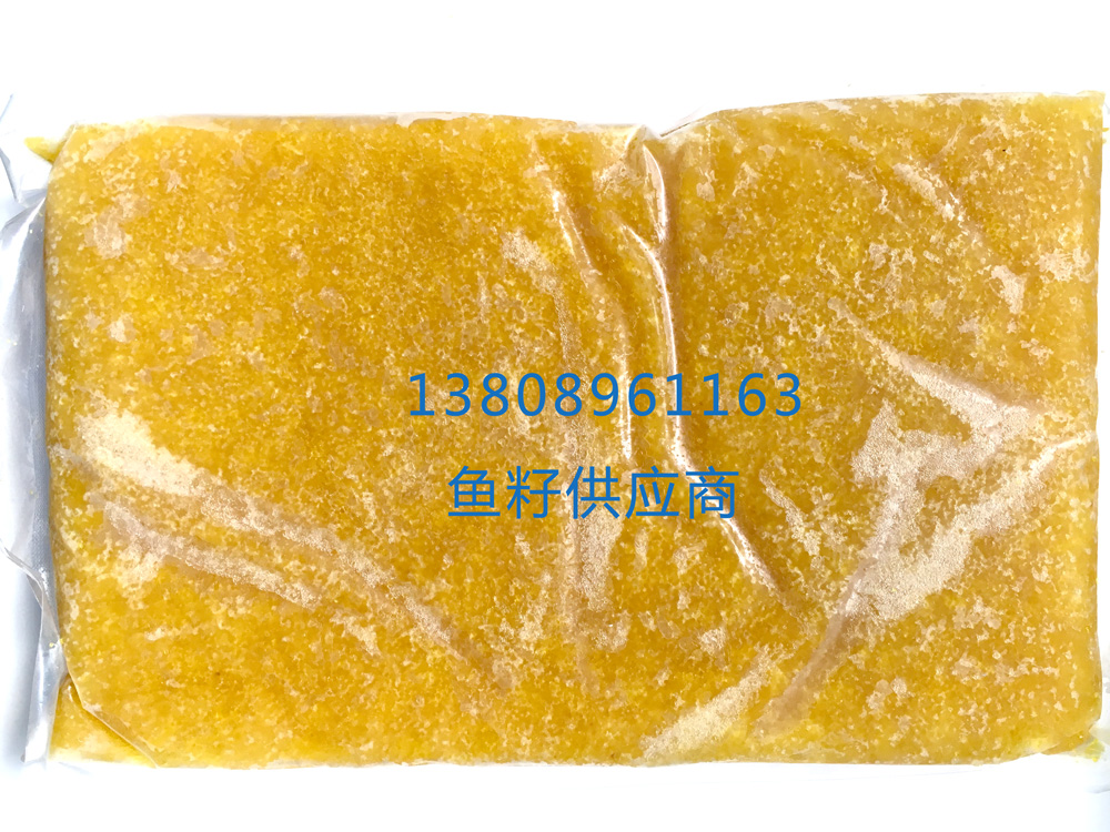 求购鱼籽