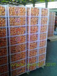 南丰蜜桔  南丰贡桔