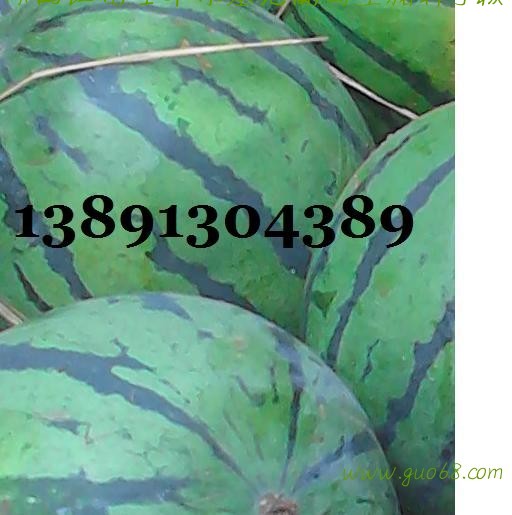 田王西瓜基地，大荔田王西瓜产地上市价格