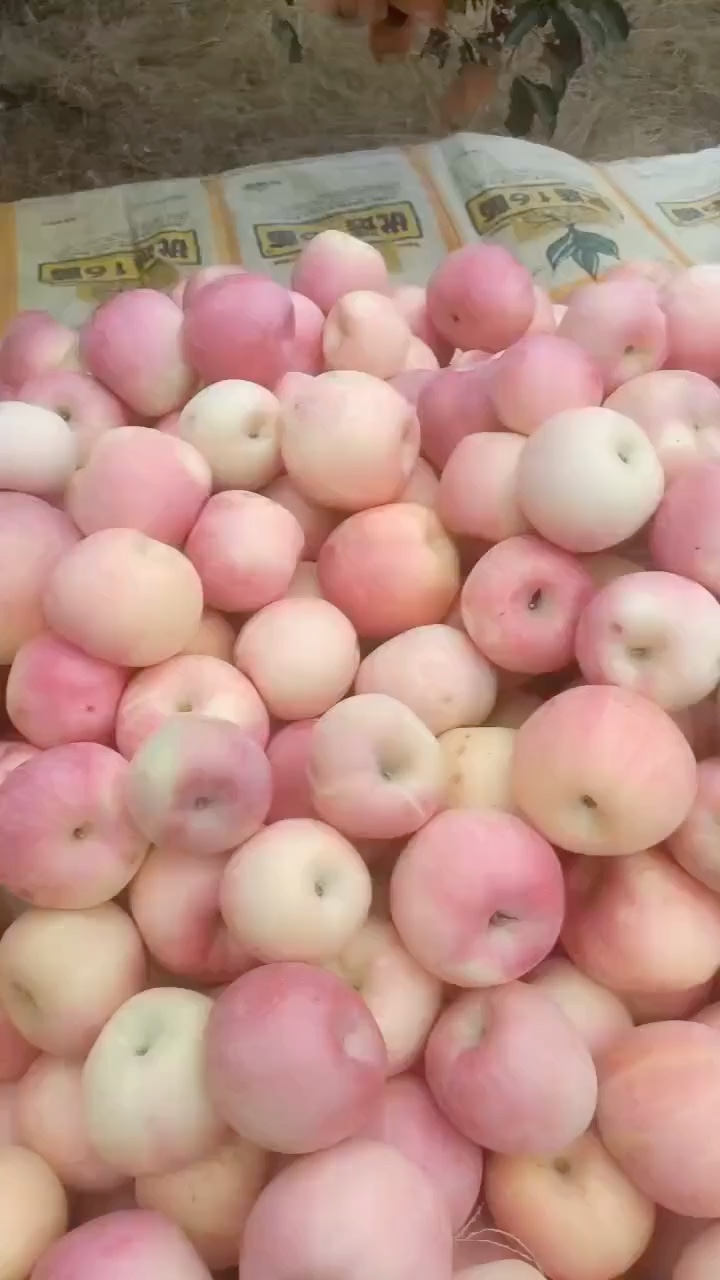高次