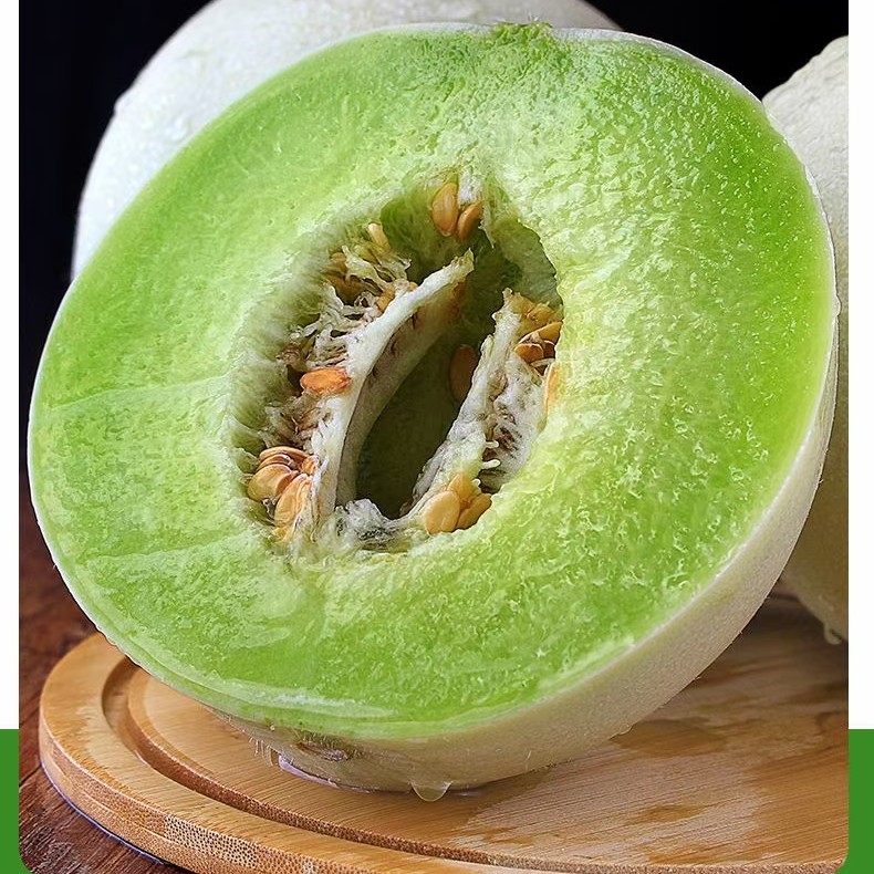 山东玉菇甜瓜大量上市，一手货源，糖度17-19