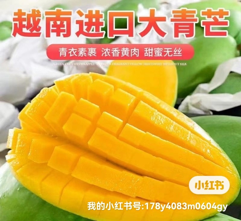越南大青芒