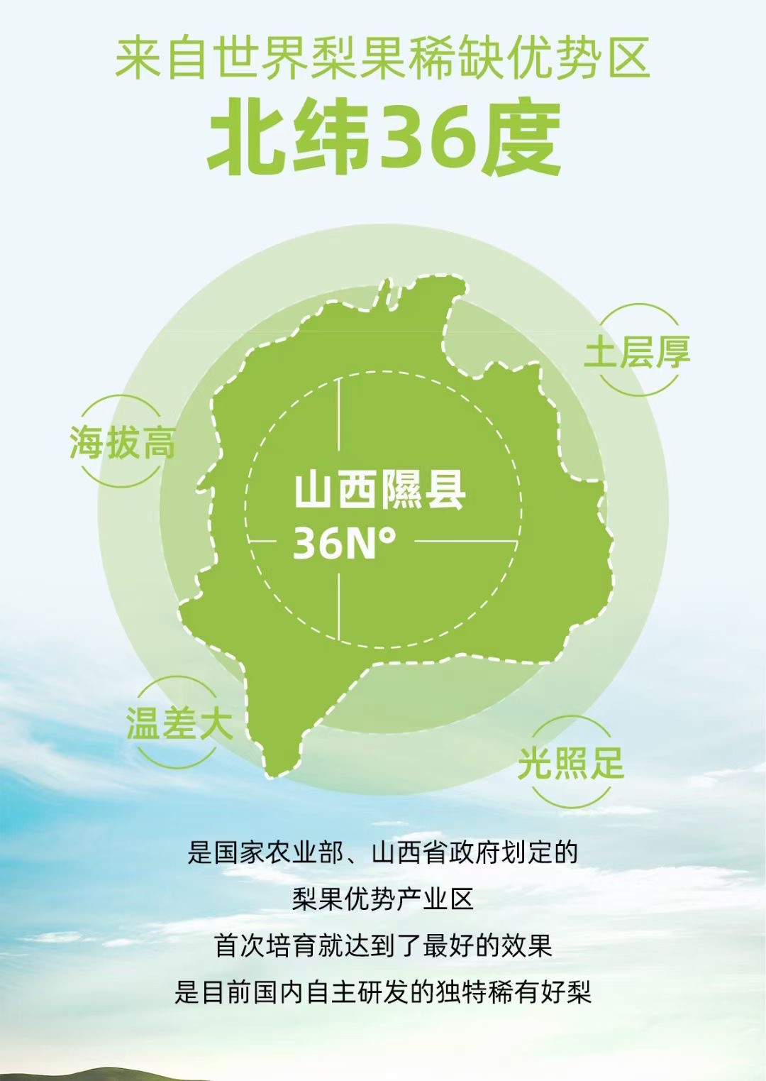 玉露香梨