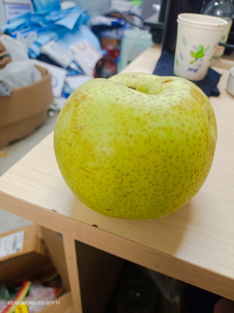 黄金梨