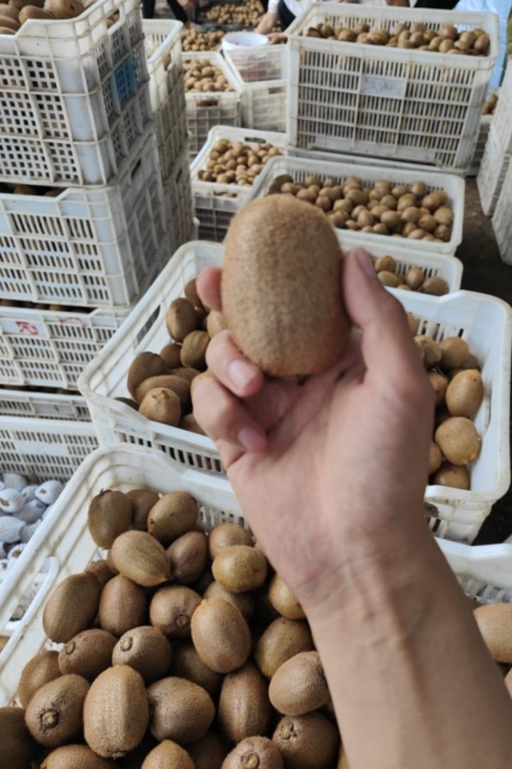 徐香猕猴桃