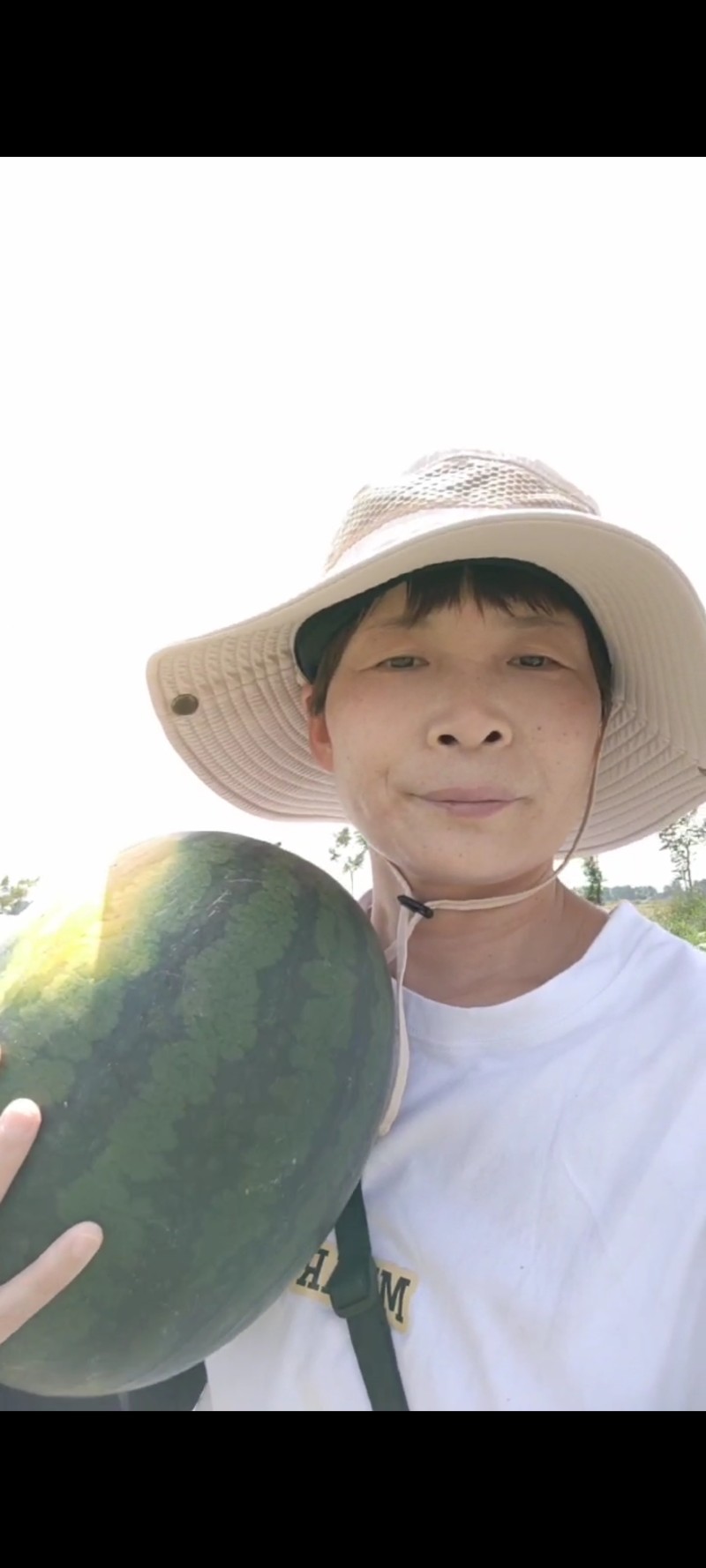 西瓜