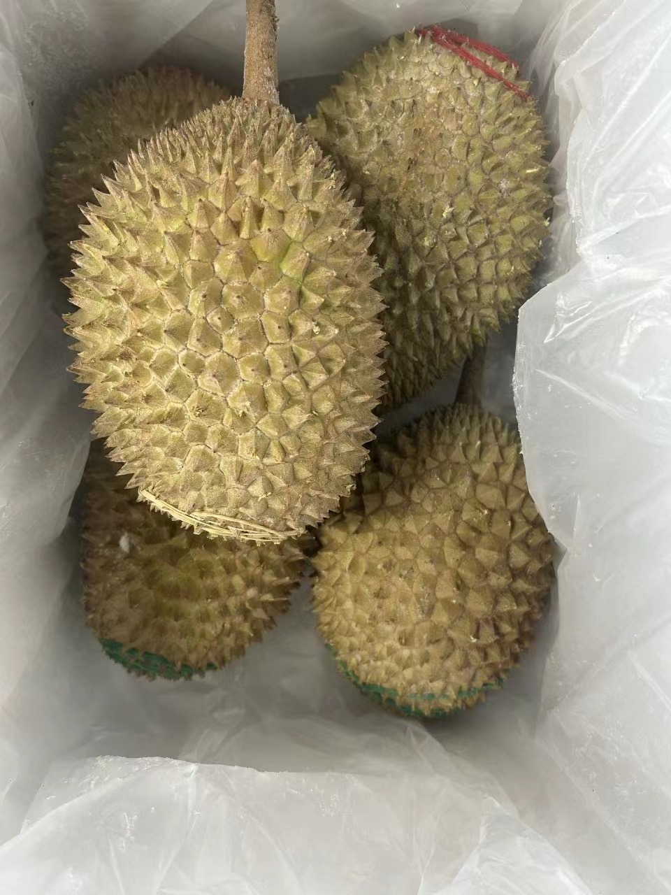 马来西亚猫山王d197 批发