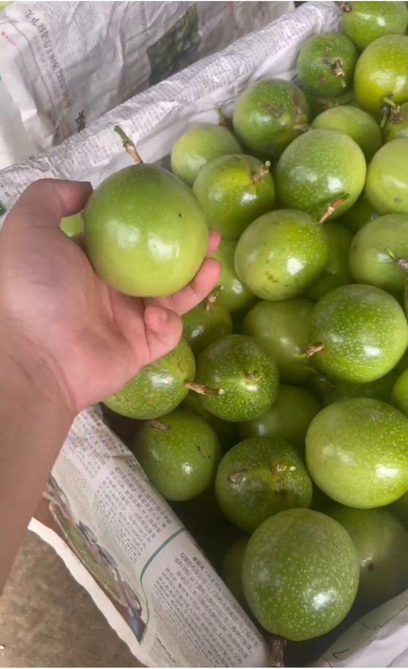黄金百香果