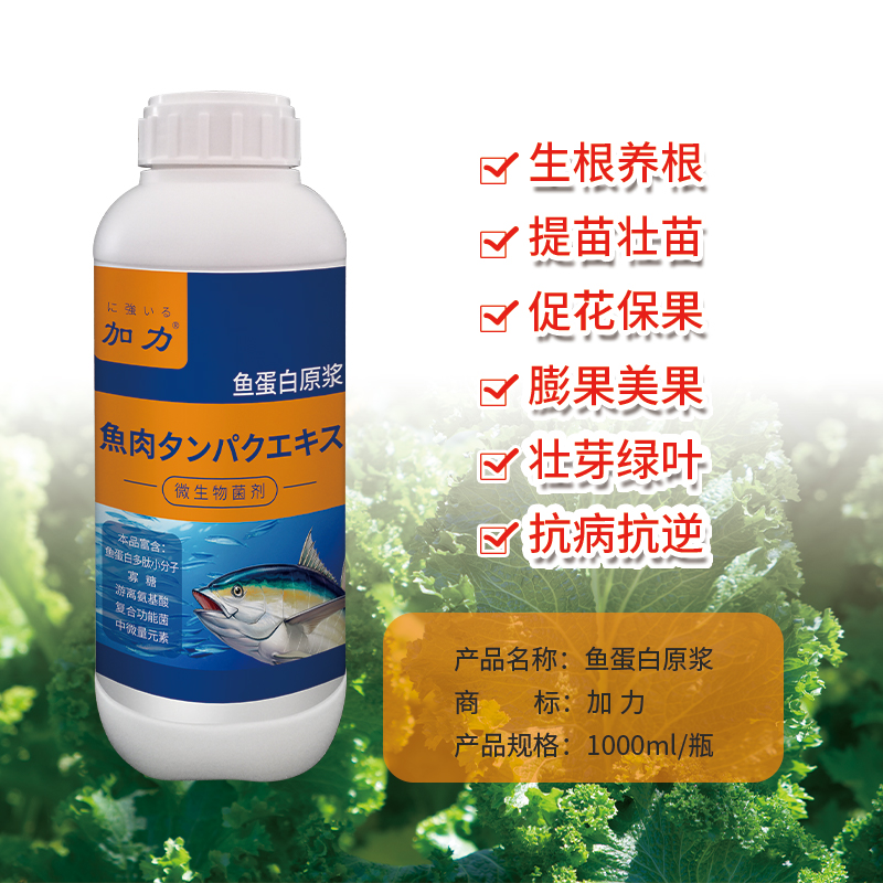 鱼蛋白