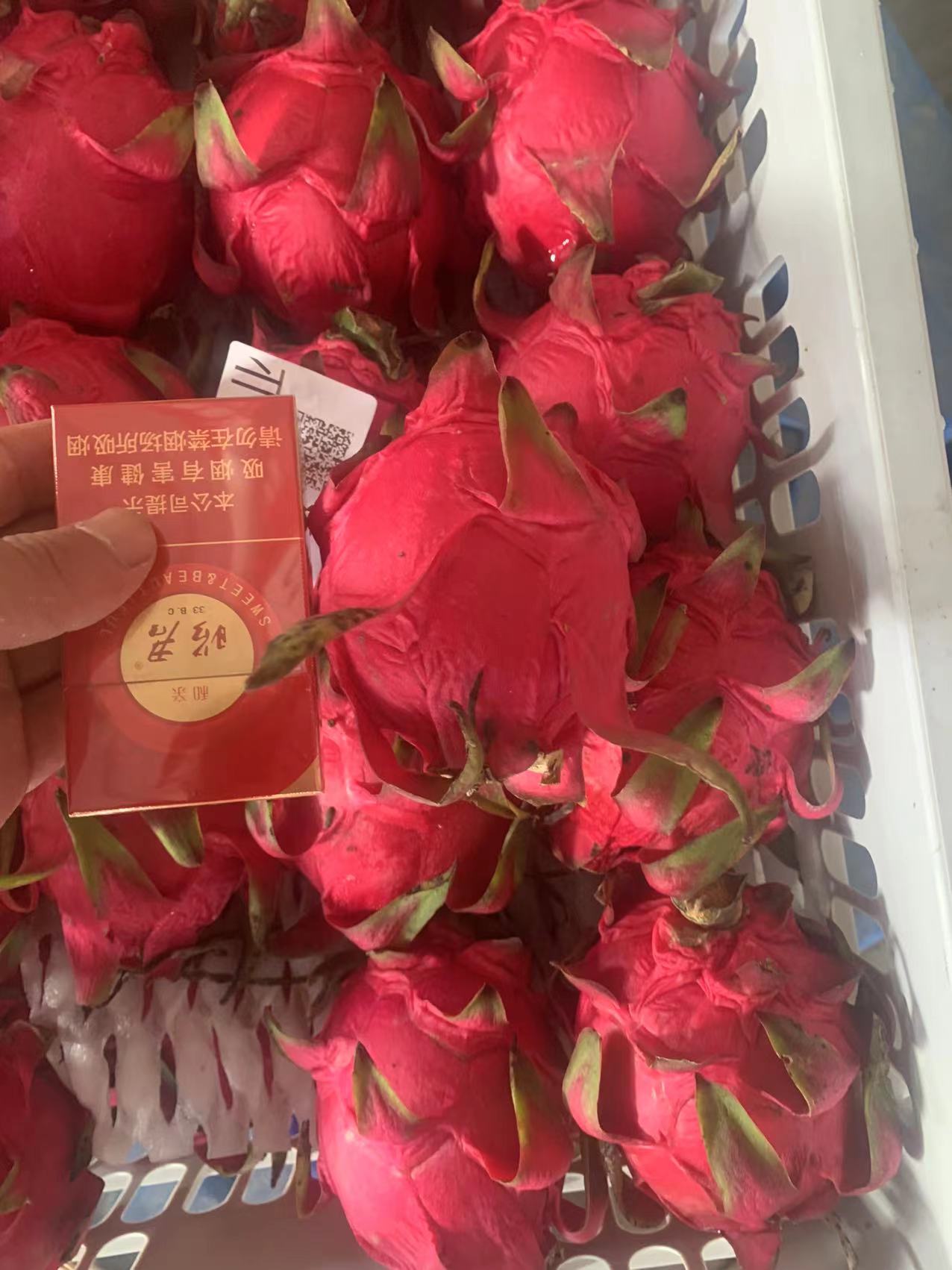 火龙果