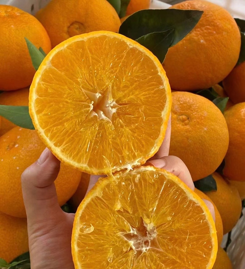 爱媛果冻橙