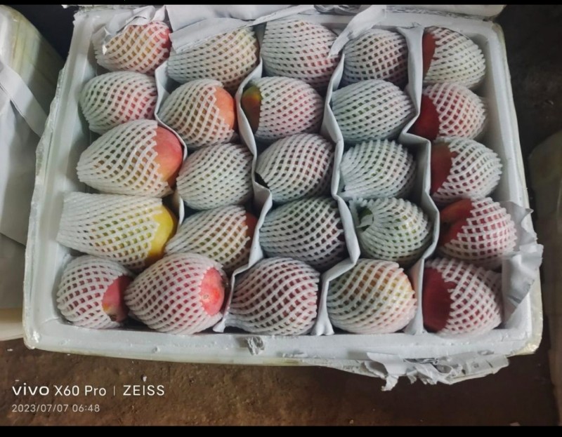 张家界桑植县