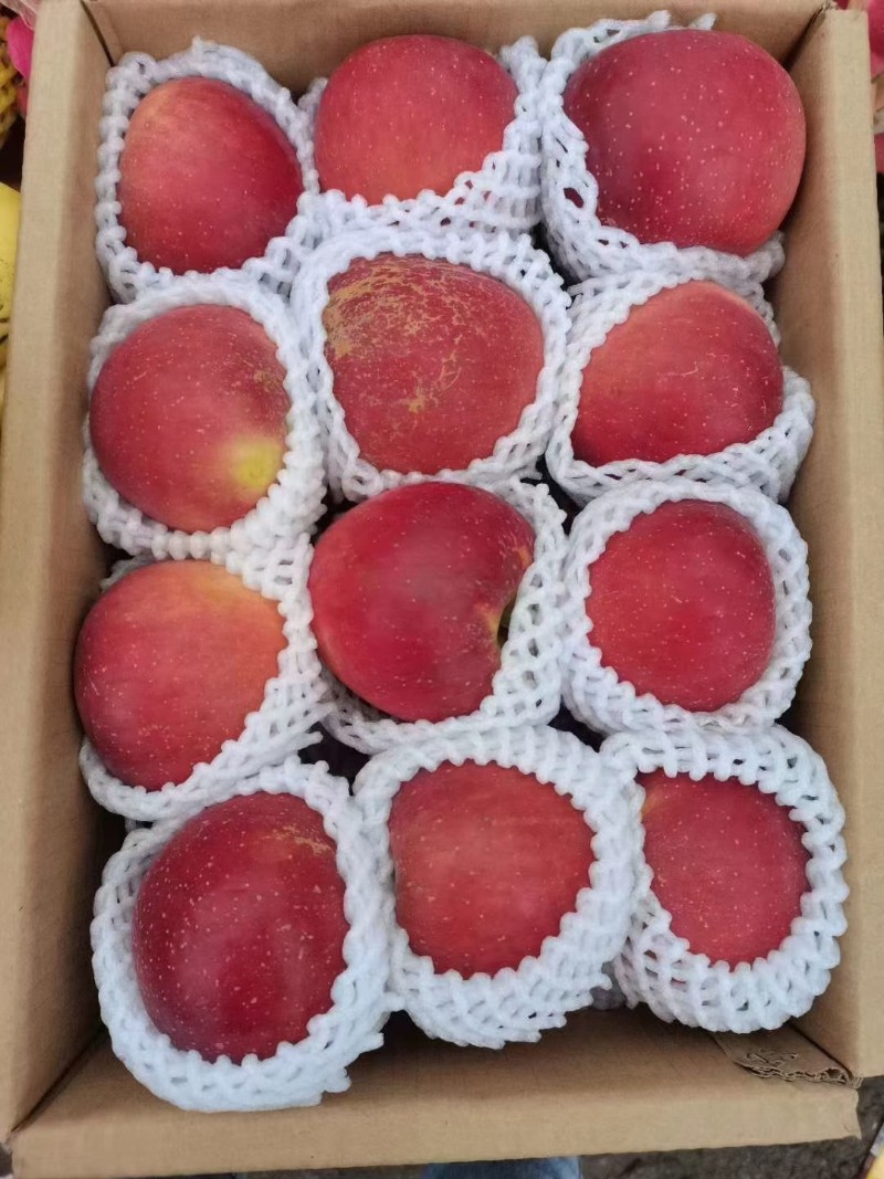 糖心苹果