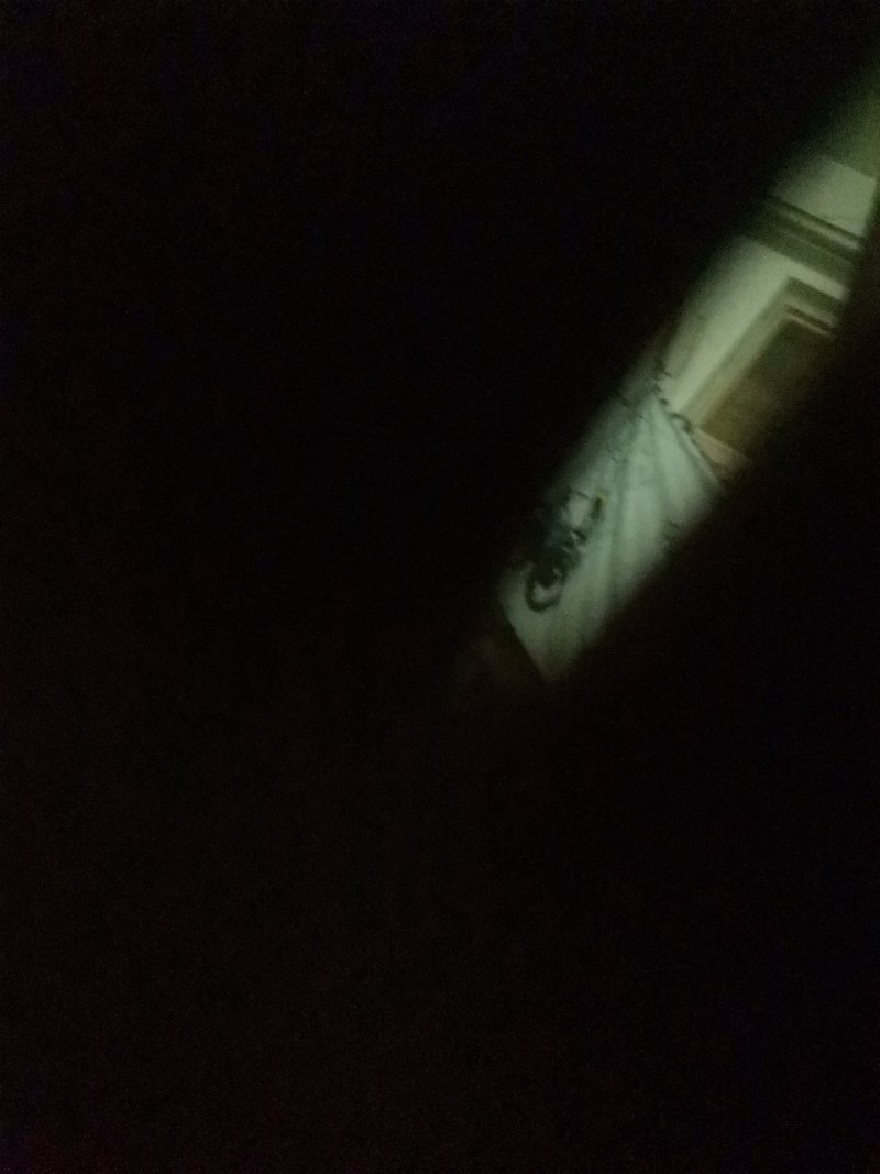 红富士