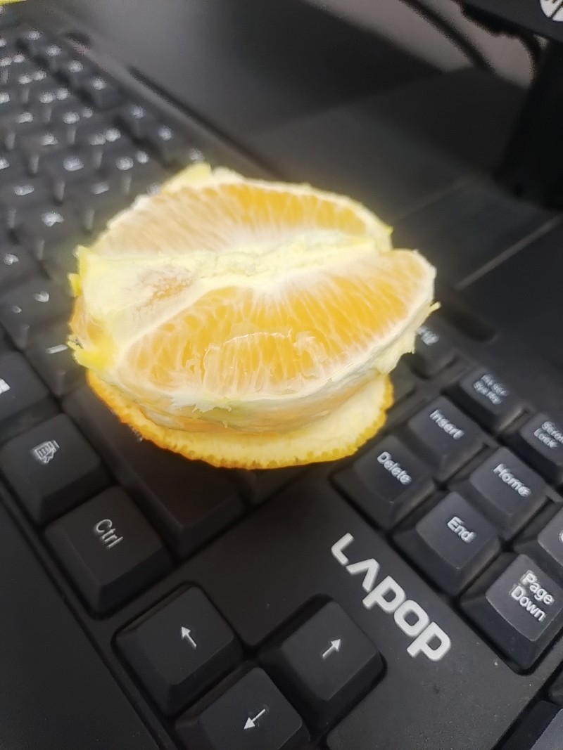 纽荷尔