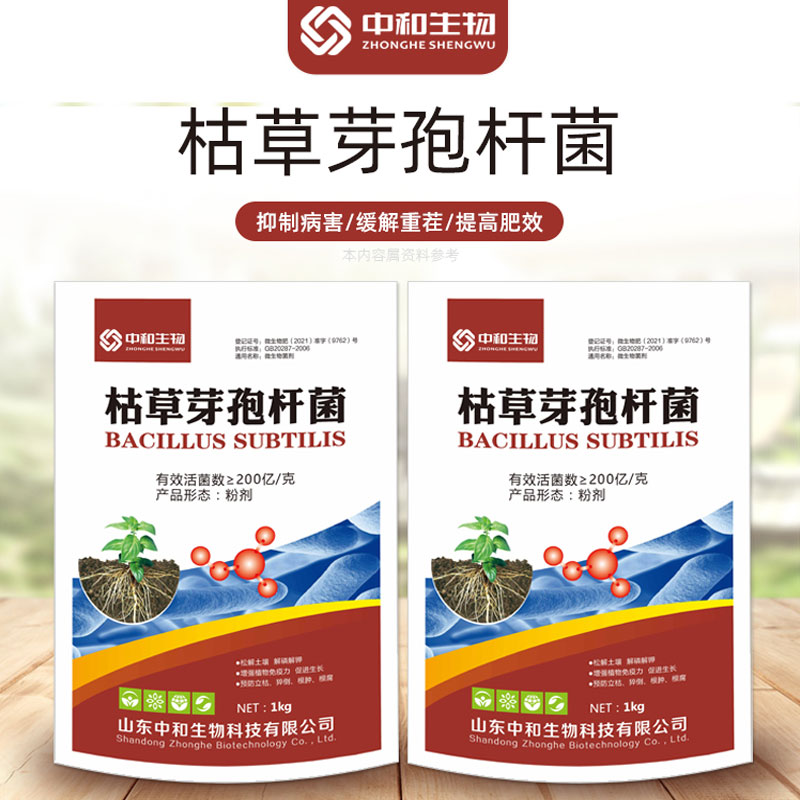 枯草芽孢杆菌