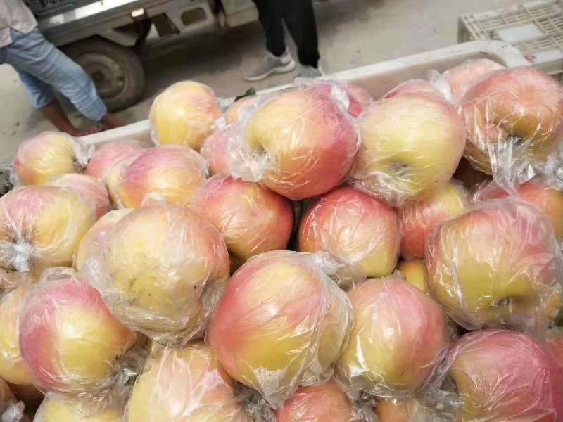 红富士